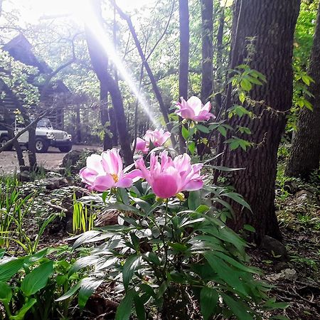 Cherokee Mountain Log Cabins Eureka Springs Buitenkant foto