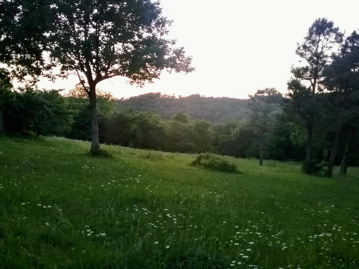 Cherokee Mountain Log Cabins Eureka Springs Buitenkant foto
